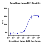 Human/Rhesus macaque/Mouse/Rat/Canine BMP2 Protein BP003871 Syd Labs
