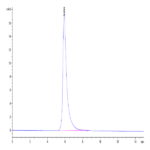 Human BTN3A3/BTF3 Protein BP004642 Syd Labs