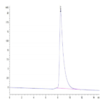 Mouse BTN2A2 Protein BP004073 Syd Labs
