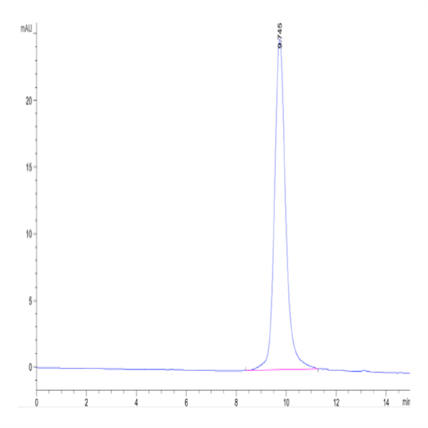 SARS-CoV-2 Spike RBD (Omicron BQ.1.1) Protein (BQ1-HM111)
