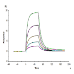 Biotinylated Human Serum Albumin Protein BP005109 Syd Labs