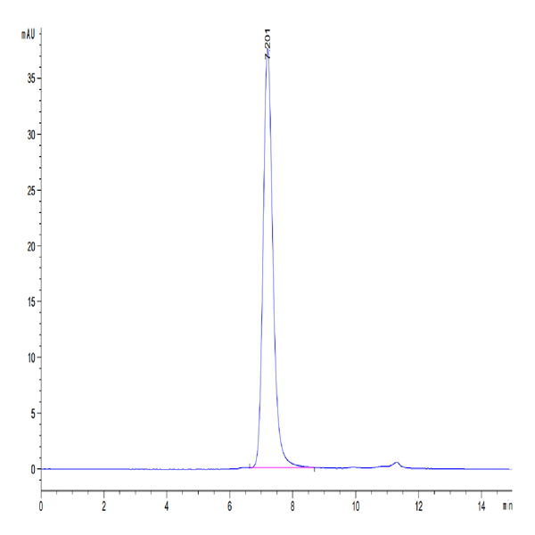 Biotinylated Human Serum Albumin Protein (BSA-HM401B)
