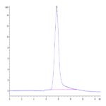 Cynomolgus BSPII Protein BP003949 Syd Labs