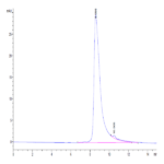 Cynomolgus BST1 Protein BP003961 Syd Labs