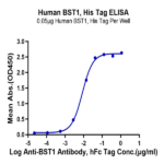 Human BST1 Protein BP004799 Syd Labs