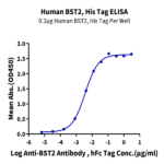 Human BST2 Protein BP004764 Syd Labs