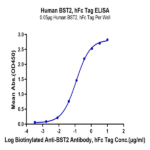 Human BST2 Protein BP004915 Syd Labs