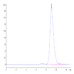 Mouse BST1 Protein BP004903 Syd Labs