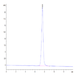 Mouse BST2 Protein BP004893 Syd Labs