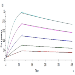 Human BTLA Protein BP005384 Syd Labs