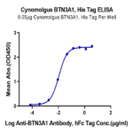 Cynomolgus BTN3A1/CD277 Protein BP004531 Syd Labs