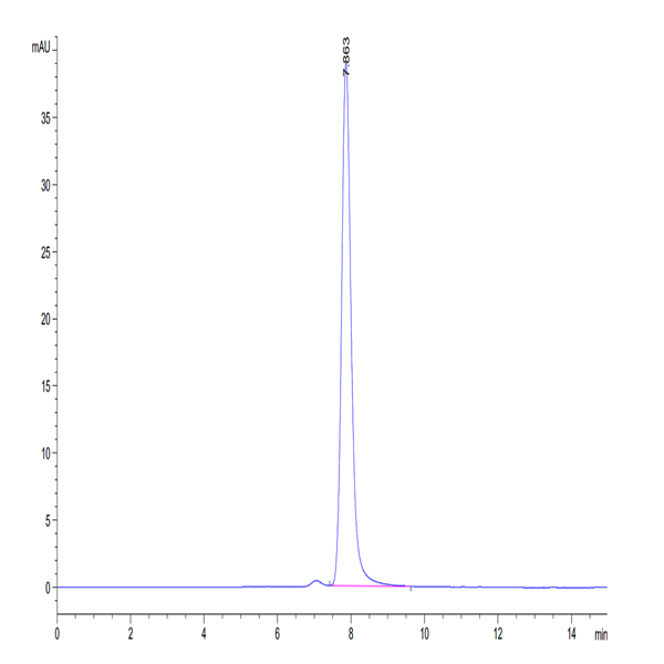 Human BTN3A1/CD277 Protein (BTN-HM2A3)