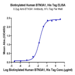 Biotinylated Human BTN3A1/CD277 Protein BP004257 Syd Labs