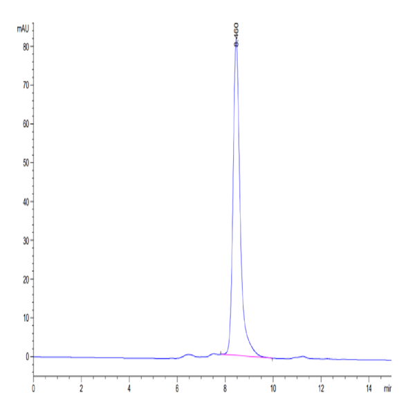 Biotinylated Human BTN3A1/CD277 Protein (BTN-HM4A3B)