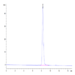 Mouse CYTL1/C17 Protein BP004253 Syd Labs