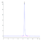 Cynomolgus CA9/Carbonic Anhydrase IX Protein (CA9-CM101)