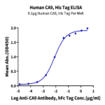 Human CA9/Carbonic Anhydrase IX Protein BP005525 Syd Labs