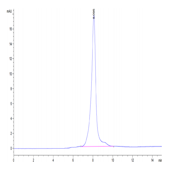 Human CA9/Carbonic Anhydrase IX Protein (CA9-HM401)