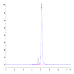 Mouse CA9/Carbonic Anhydrase IX Protein BP004265 Syd Labs