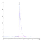 Mouse CADM1/IGSF4A Protein BP004483 Syd Labs