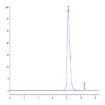 Cynomolgus CEACAM-6/CD66c Protein BP003778 Syd Labs