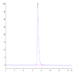 Human NCAM-1/CD56 Protein BP003662 Syd Labs