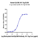 Human EpCAM/TROP1 Protein BP005101 Syd Labs