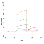 Biotinylated Human CEACAM-6/CD66c Protein BP005641 Syd Labs