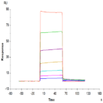 Biotinylated Human CEACAM-8/CD66b Protein BP003384 Syd Labs