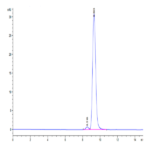 Human carbonic anhydrase XII Protein BP003658 Syd Labs