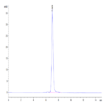 Human PTK7/CCK4 Protein BP005200 Syd Labs