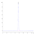 Mouse PTK7/CCK4 Protein BP003404 Syd Labs