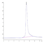 Human CCL11 Protein BP003888 Syd Labs