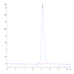 Cynomolgus CCR8 Protein (CCR-CM308)