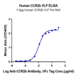 Human CCR2b Protein-VLP BP004739 Syd Labs