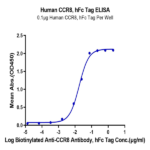 Human CCR8 Protein BP003660 Syd Labs