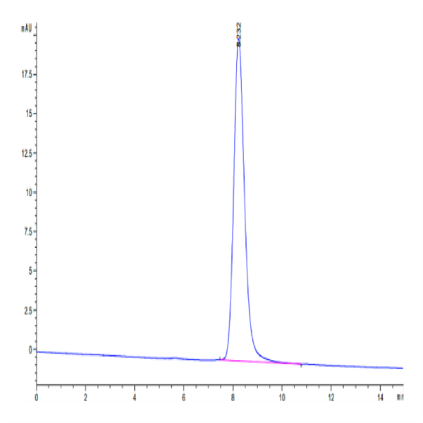 Human CCR8 Protein (CCR-HM308)