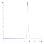 Cynomolgus CD161 Protein (CD1-CM461)
