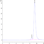 Biotinylated Cynomolgus CD161 Protein (CD1-CM461B)