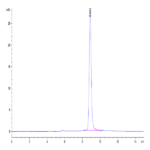 Human CD14 Protein BP004263 Syd Labs