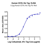 Human CD19 Protein BP005439 Syd Labs
