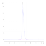 Human IL-2 R gamma/CD132 Protein BP003917 Syd Labs