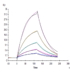 Human CD155/PVR Protein BP005330 Syd Labs