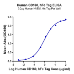 Human CD160 Protein BP004727 Syd Labs
