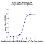 Human CD161 Protein BP004552 Syd Labs