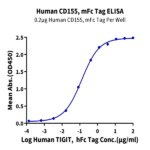 Human CD155/PVR Protein BP005098 Syd Labs