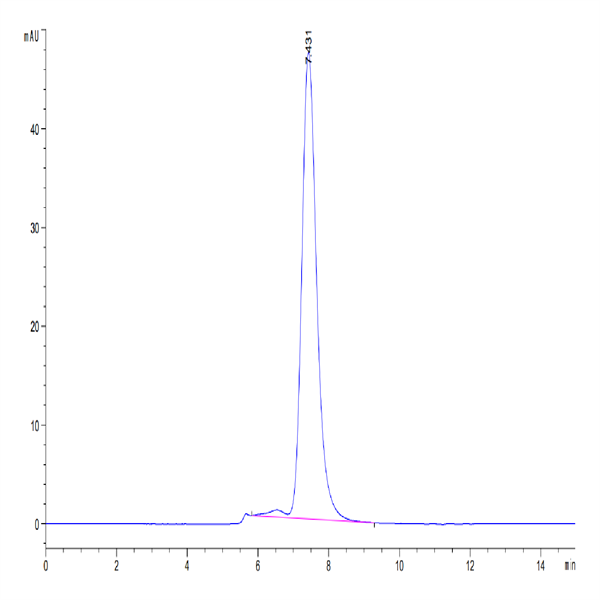 Human CD155/PVR Protein (CD1-HM355)