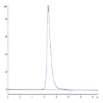 Human IL-2 R gamma/CD132 Protein BP005527 Syd Labs