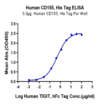 Human CD155/PVR Protein BP005437 Syd Labs