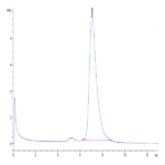 Human CD155/PVR Protein (CD1-HM455)